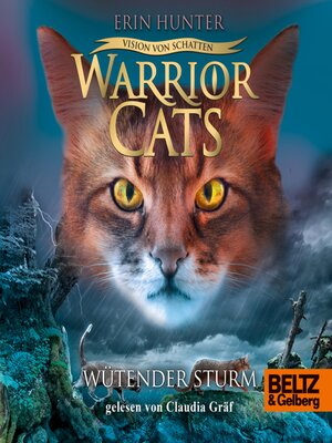 cover image of Warrior Cats--Vision von Schatten. Wütender Sturm